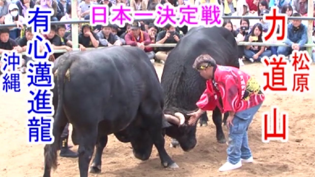 【日本一決定戦】力道山vs有心邁進龍