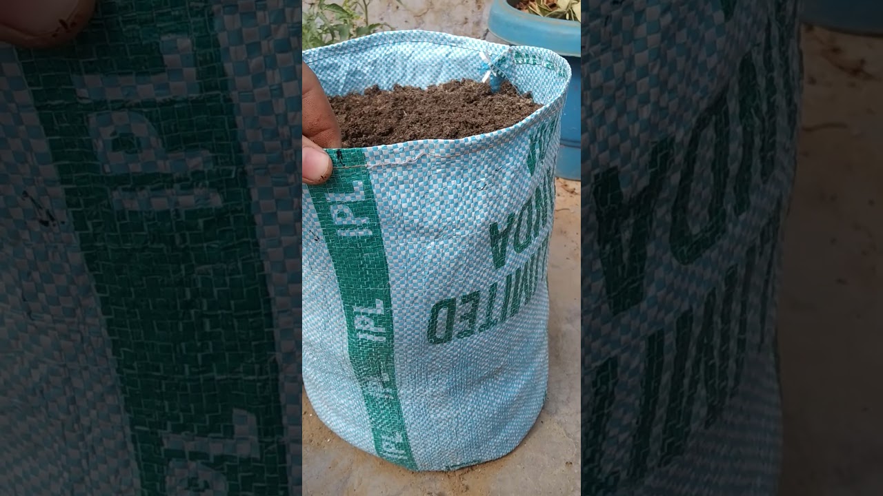 How to make grow bag #viral #gardening #garden #growplants #trending #plants #nature #growbag #green