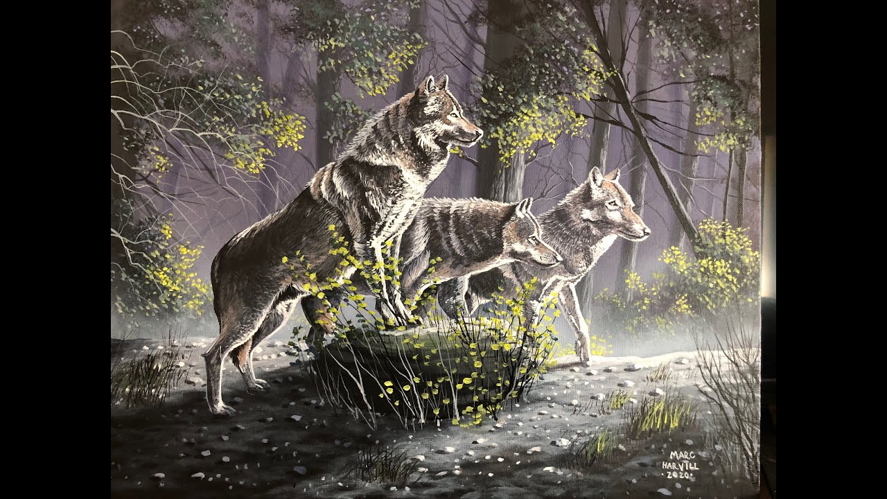 #19 How to Paint Wolf Pack | Acrylic Painting Tutorial | Marc Harvill Art