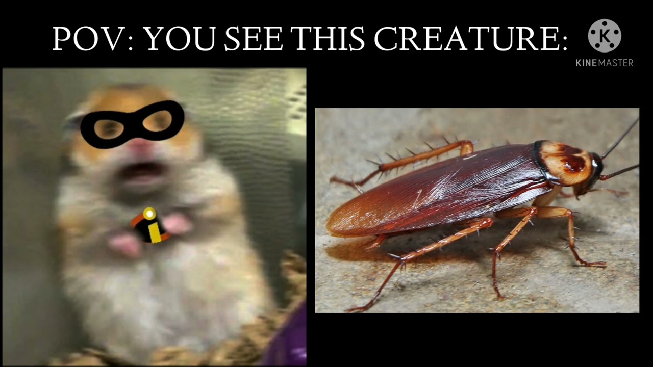 Mr Incredible Becoming Scared (You see this Creature)
