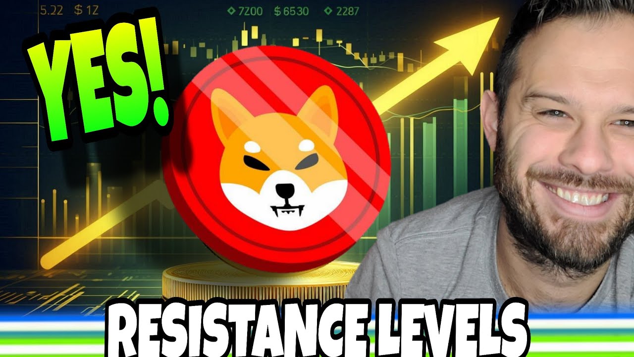 Shiba Inu Coin | SHIB Could Break Resistance And Test These Levels!