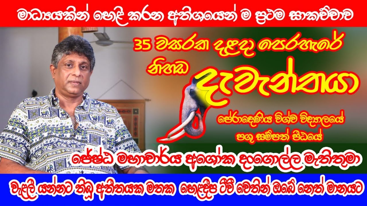 Dangolla වසර 35 ක හීලෑ අලි ඇතුන්ගේ බිහිසුණු සහ සුන්දර අත්දැකීම් ඔබ මෙතෙක් නොඇසූ ප්‍රථම වරට දිගහැරුම