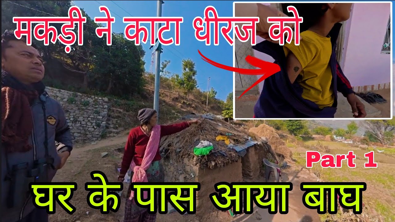 Spider bites Dhiraj | Leopard near his house l Jim Corbett National Park 