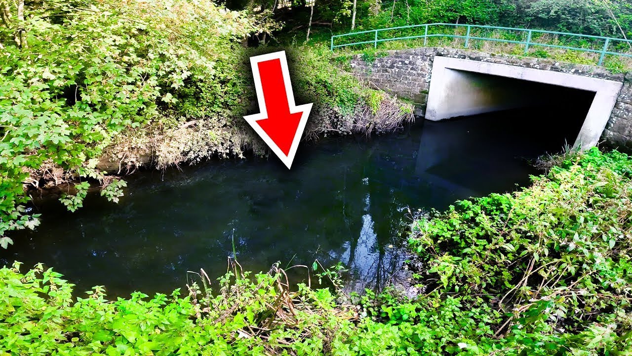 Мы обнаружили озеро изобилия! (так много рыбы)