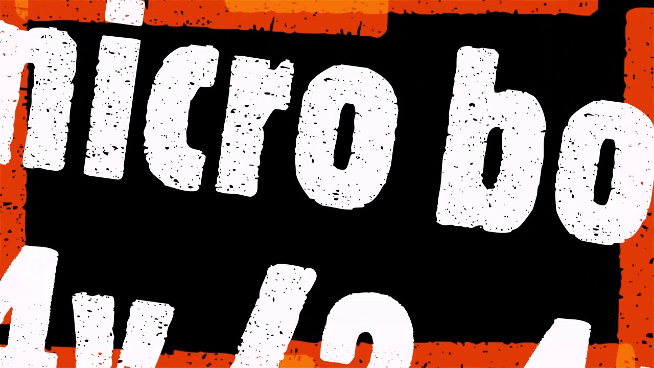 BATEAUX RC VENOM 2S et micro boat