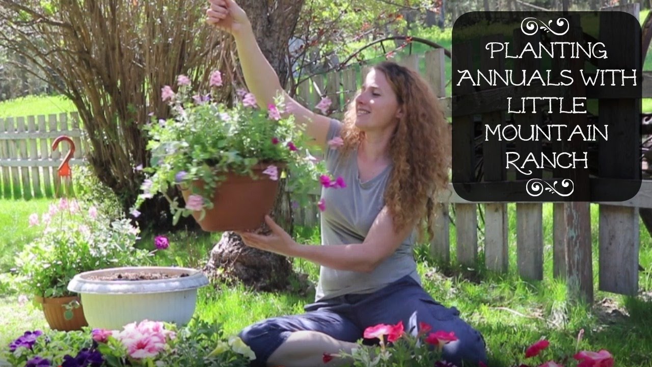 Planting Annuals in an Antique Wagon!!