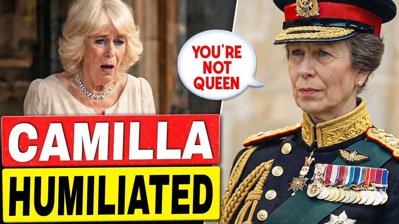 Princess Anne's 20 SAVAGE Moves Destroying Camilla From INSIDE the Palace