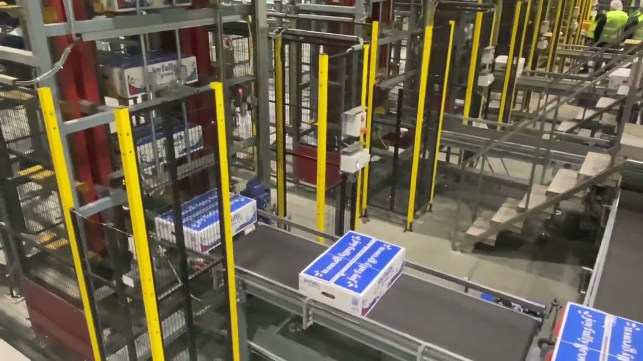 Aweta Palletizing Solution