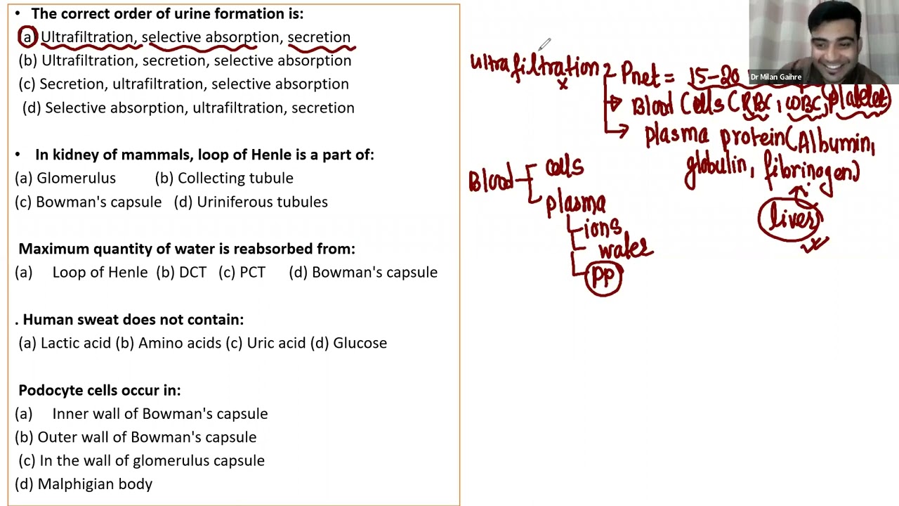 Excretory System  QAD - 1  Human Biology - Zoology   Dr. Milan Gaihre  CEE & NEB