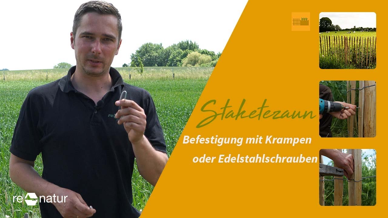 Staketenzaun aus Edelkastanie mit Krampen oder Edelstahlschrauben am Pfahl befestigen