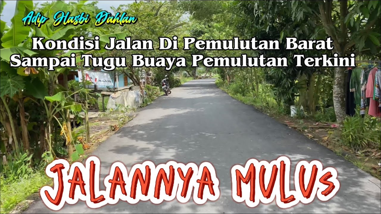 Trip Talang Pangeran Ilir-Simpang Pelabuhan Dalam || Jalannya Sudah Mulus