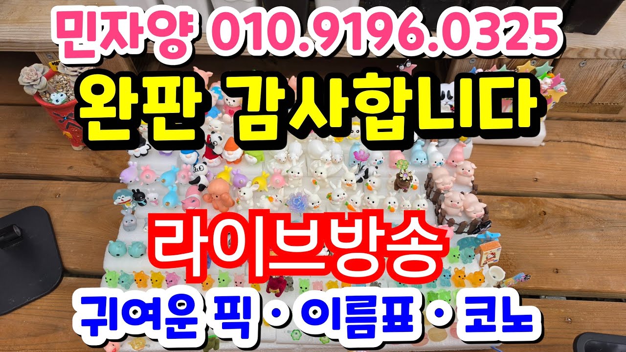 26.3.15.🌹민자양의 예쁜픽 이름표 번개라방 놀러오세요🌹