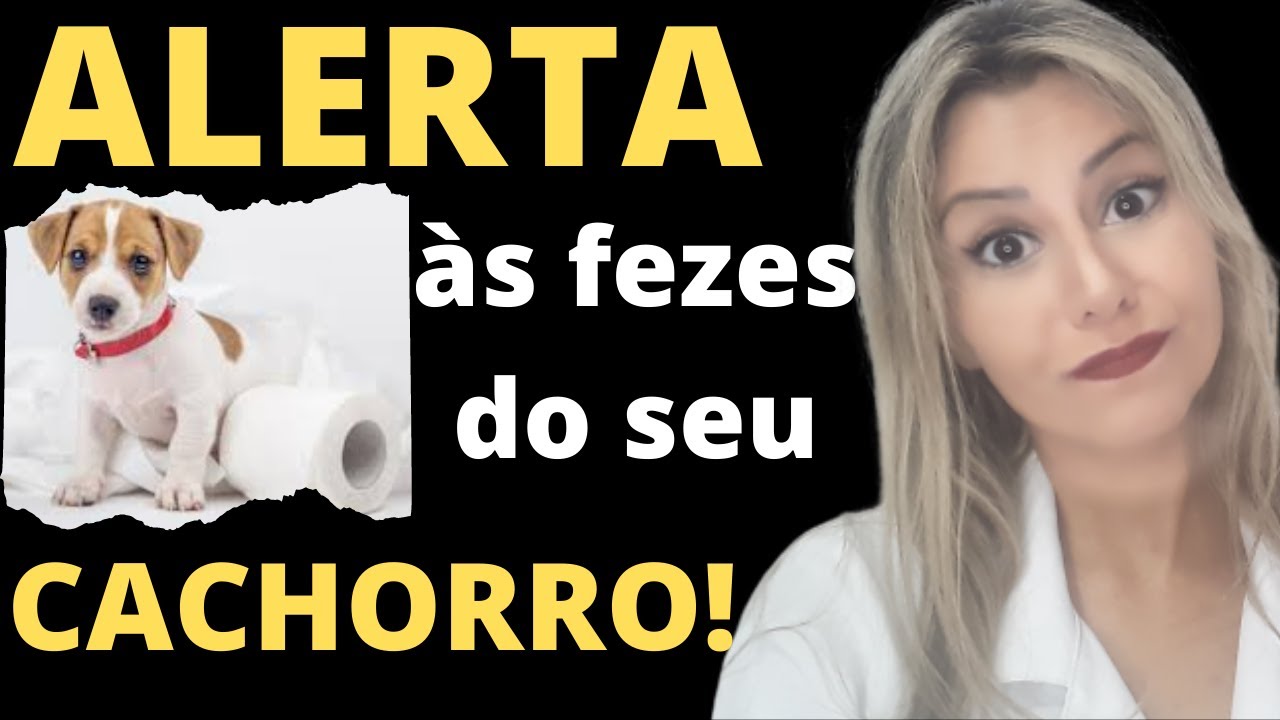 Sinais de alerta no coco do seu cachorro| O que o cocô do seu cachorro diz sobre a saúde dele?