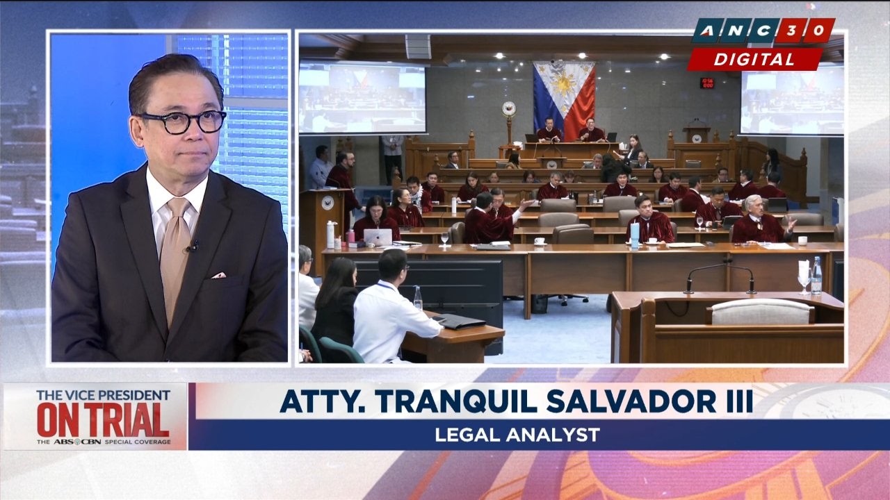Salvador: Statesman must balance accountability with rules | ANC