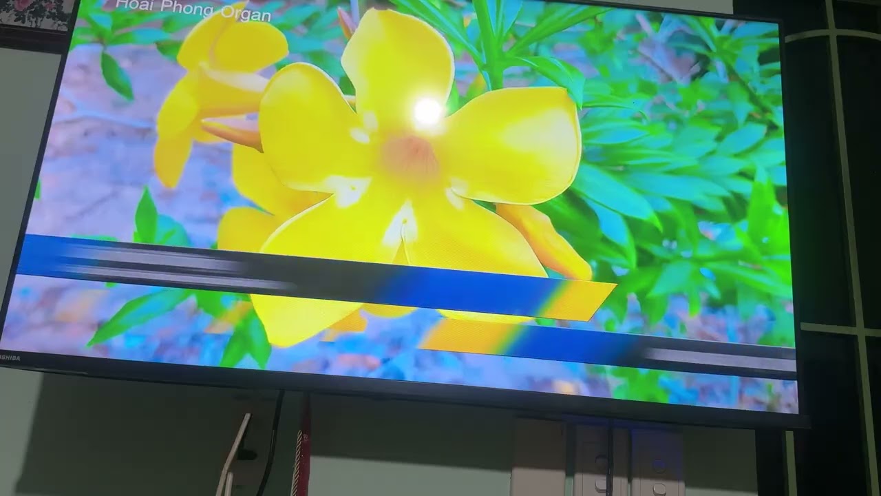 Căn Nhà Dĩ Vãng - trình bày: Nguyễn Kiệt.
