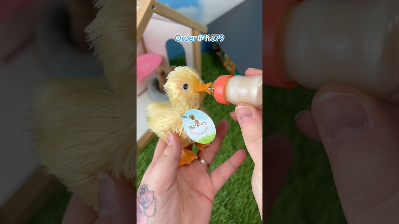 www.loulaslittlenursery.co.uk 🐣 #babyduck #duckling #babyanimals #duck #animals #packingorders