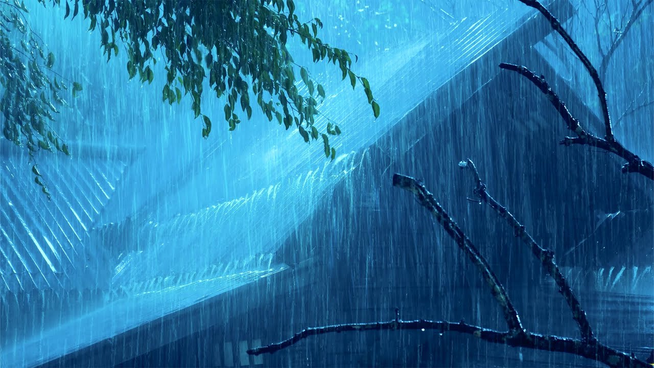 The Secret to Good Night's Sleep is the Hurricane Rain & Thunder Pounding on Tin Roof in Dark Forest