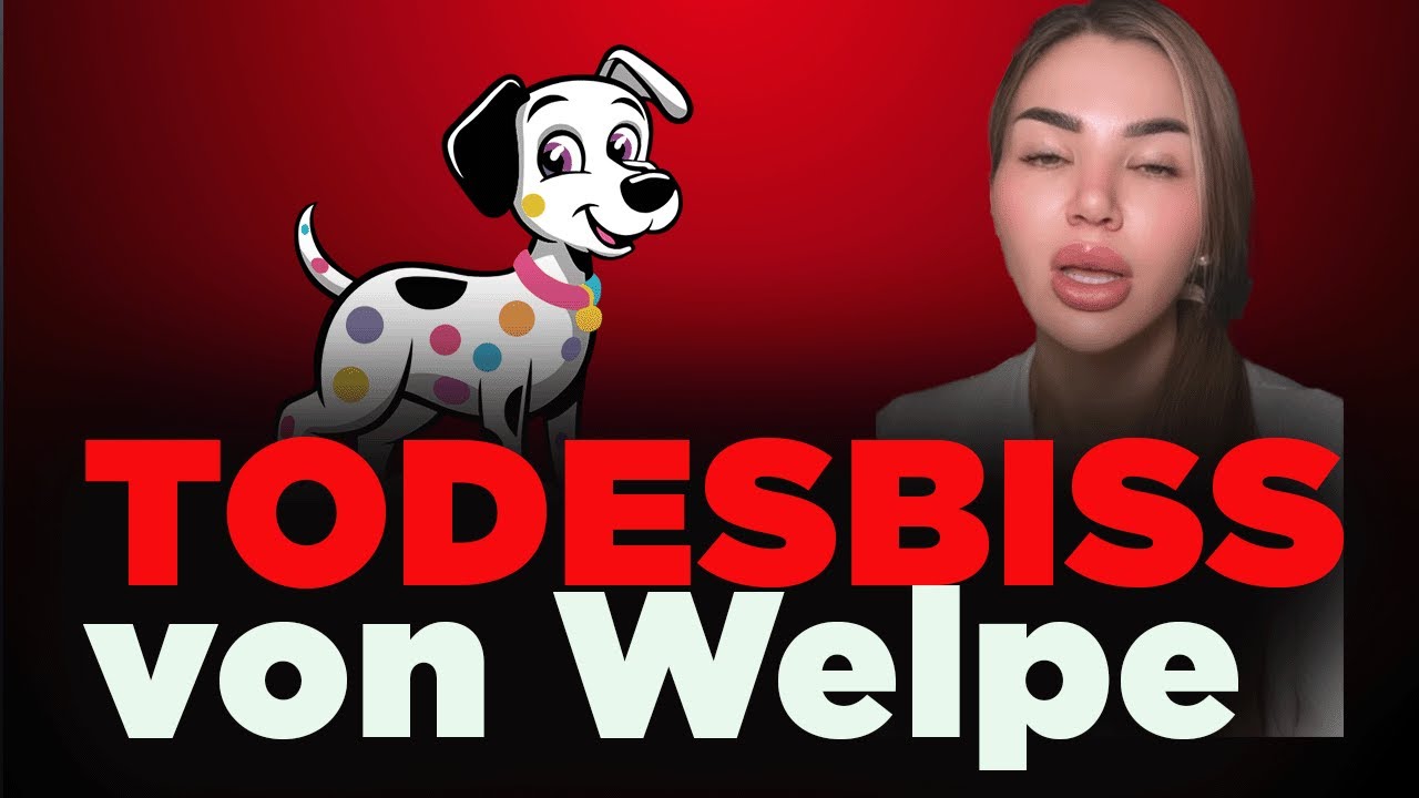 AUSSER KONTROLLE! KIM VIRGINIA HUNDEBISS, NOTARZT und ein verschwundener NIKOLA