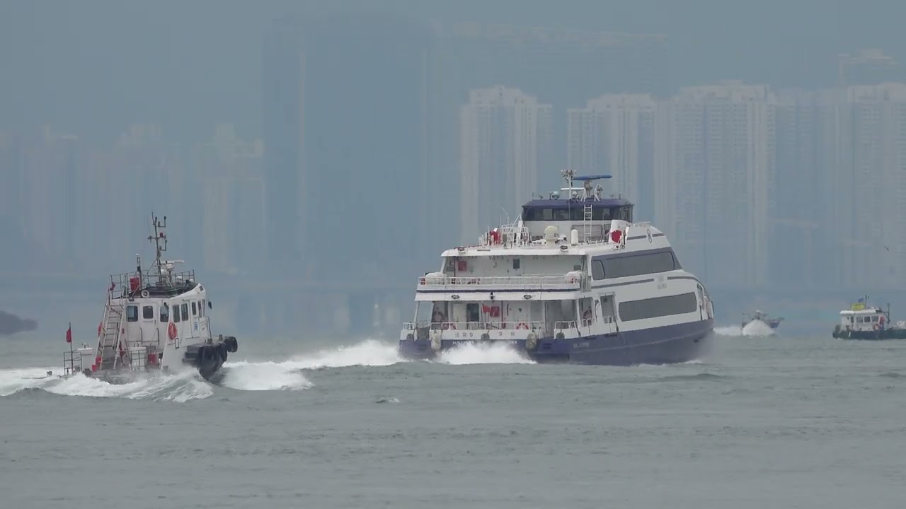 Catamaran CMG《迅隆 9 XUN LONG》Crossing the Tsing Ma Bridge in HK 20260201_C0010