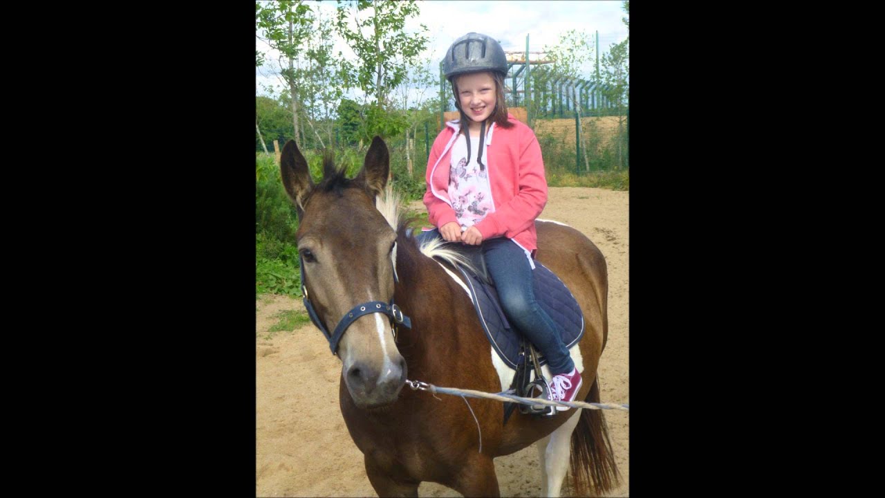 tayto park 2013
