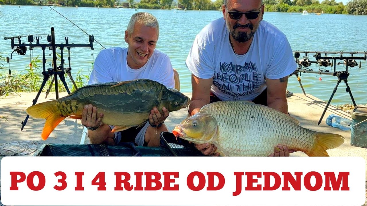 Saransko pecanje na Miki Alas tajger 1 deo #saran #pecanje #ribolov