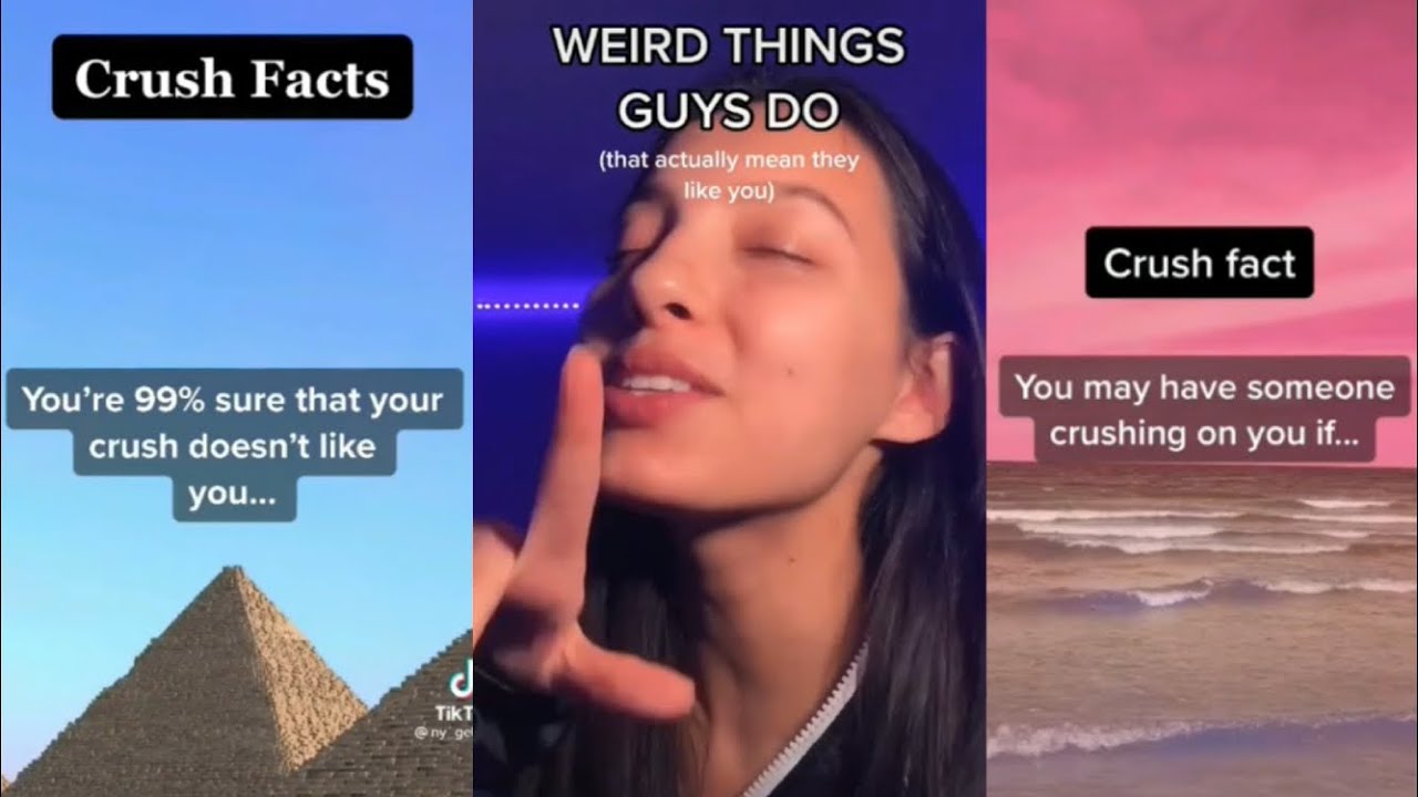 Crush Facts