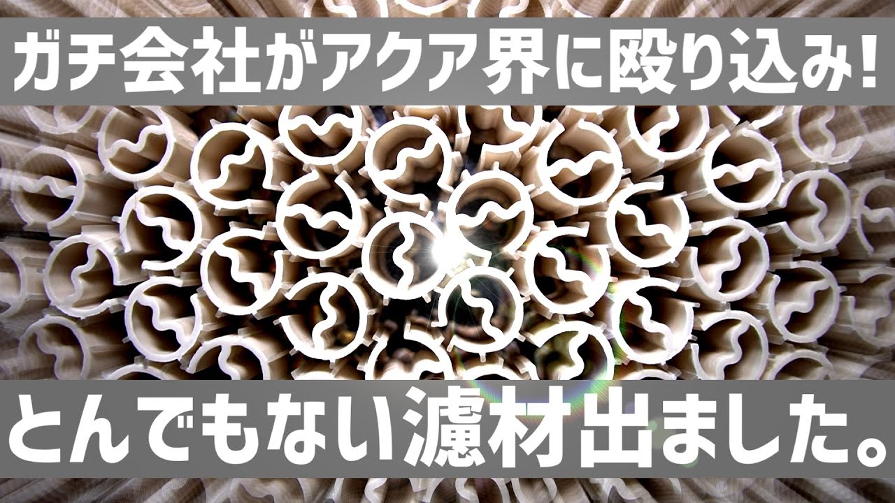 本業の会社が濾材作ったらこうなる。ソイル練り込み次世代濾材!?自然に近い環境を作る商品をレビュー。Aqua Fusion#712【アクアリウム】