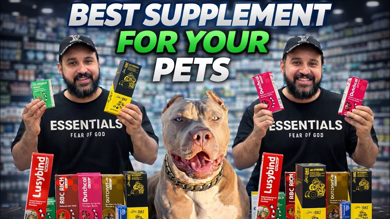 Best supplement for your ￼ dog | Royal pets 