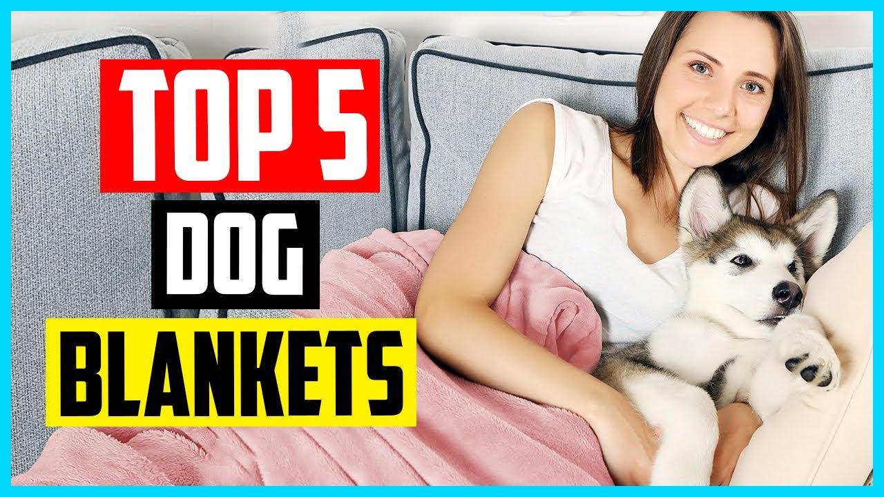 Top 5 Best Dog Blankets in 2025&ndash; Reviews