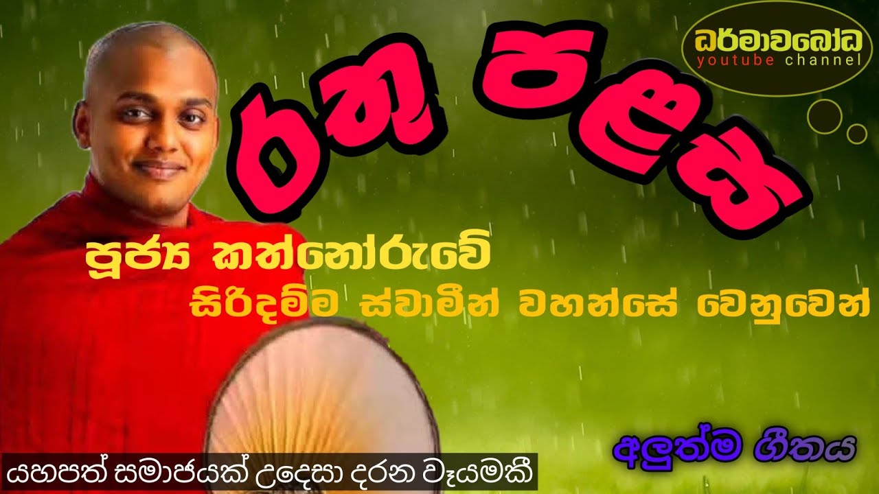 රතු පලස 🙏rathu palasa 🤔🥰💗( new song ) #ධර්මාවබෝධ #buddah #kathnoruwesiridammahimi#new song#trendin#