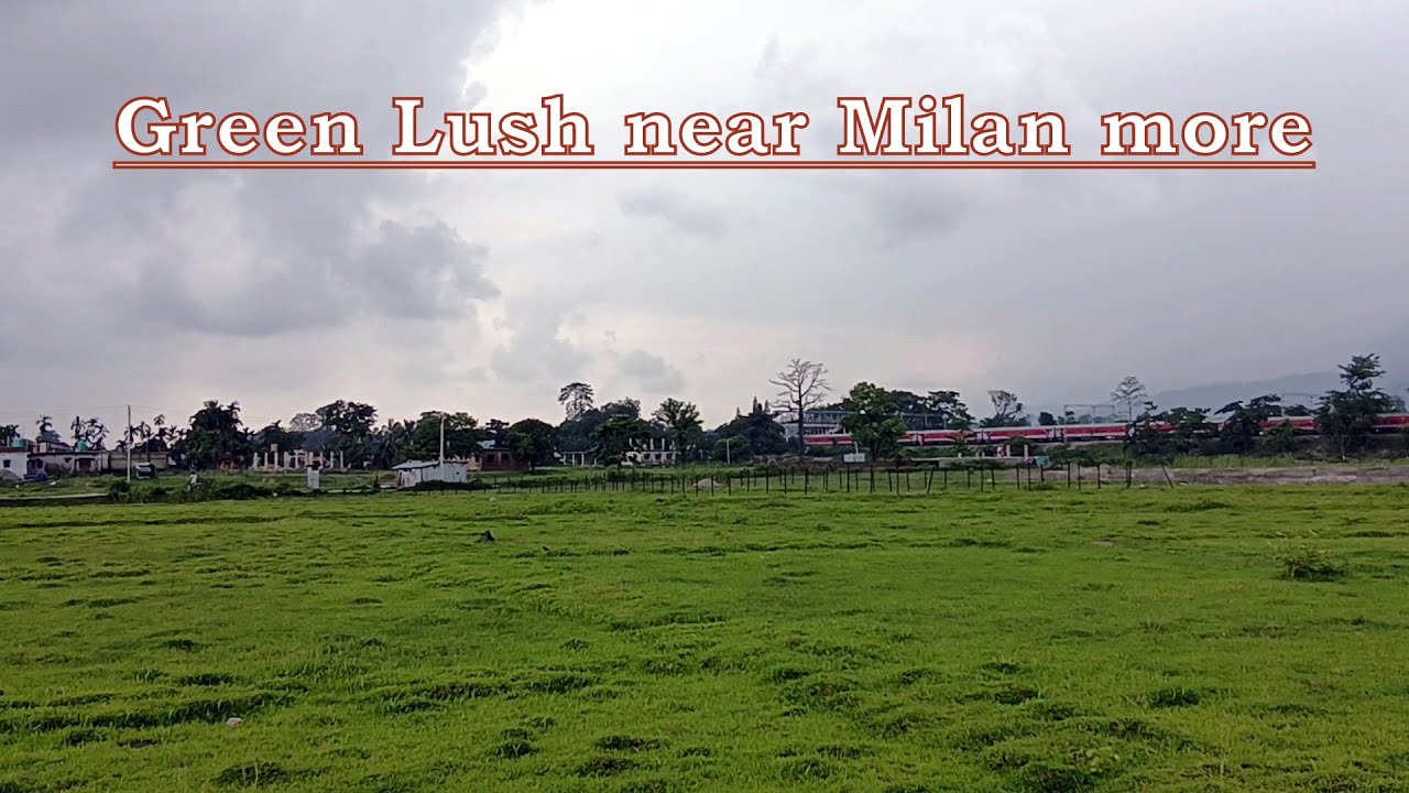 Gulma's Hidden Oasis: Exploring the Green Lushness near Milanmore