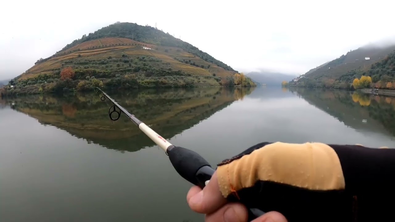 Pesca ao lúcio perca no Pinhão com companhia #savagear Fishing for pike perch in Pinhão with company