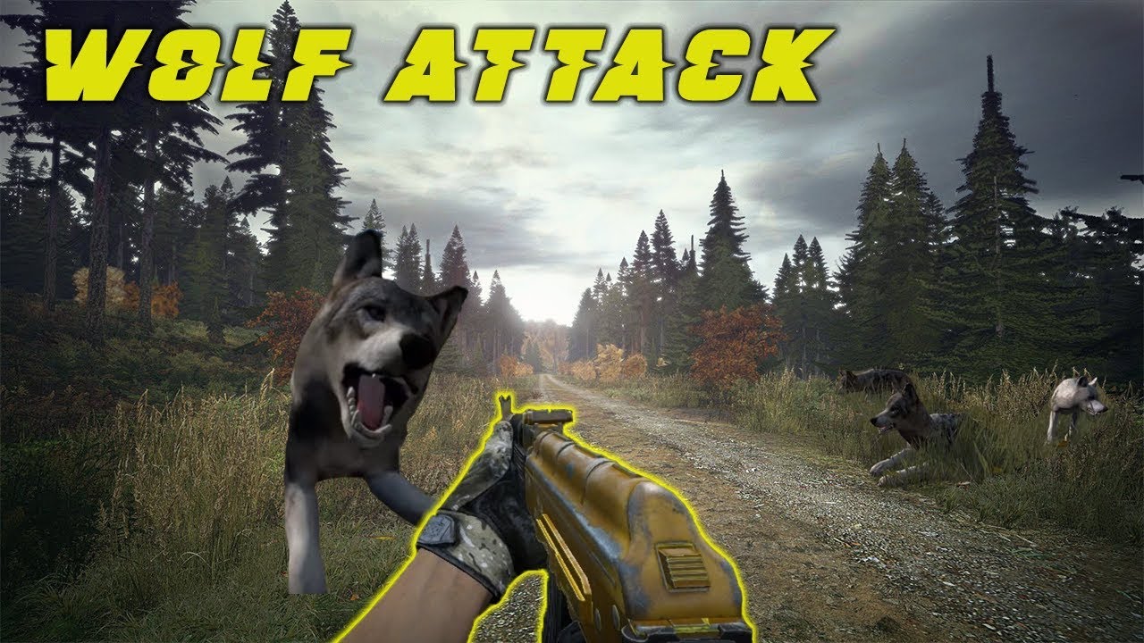 WOLF ATTACK! Small Village PVP DayZ 1.01