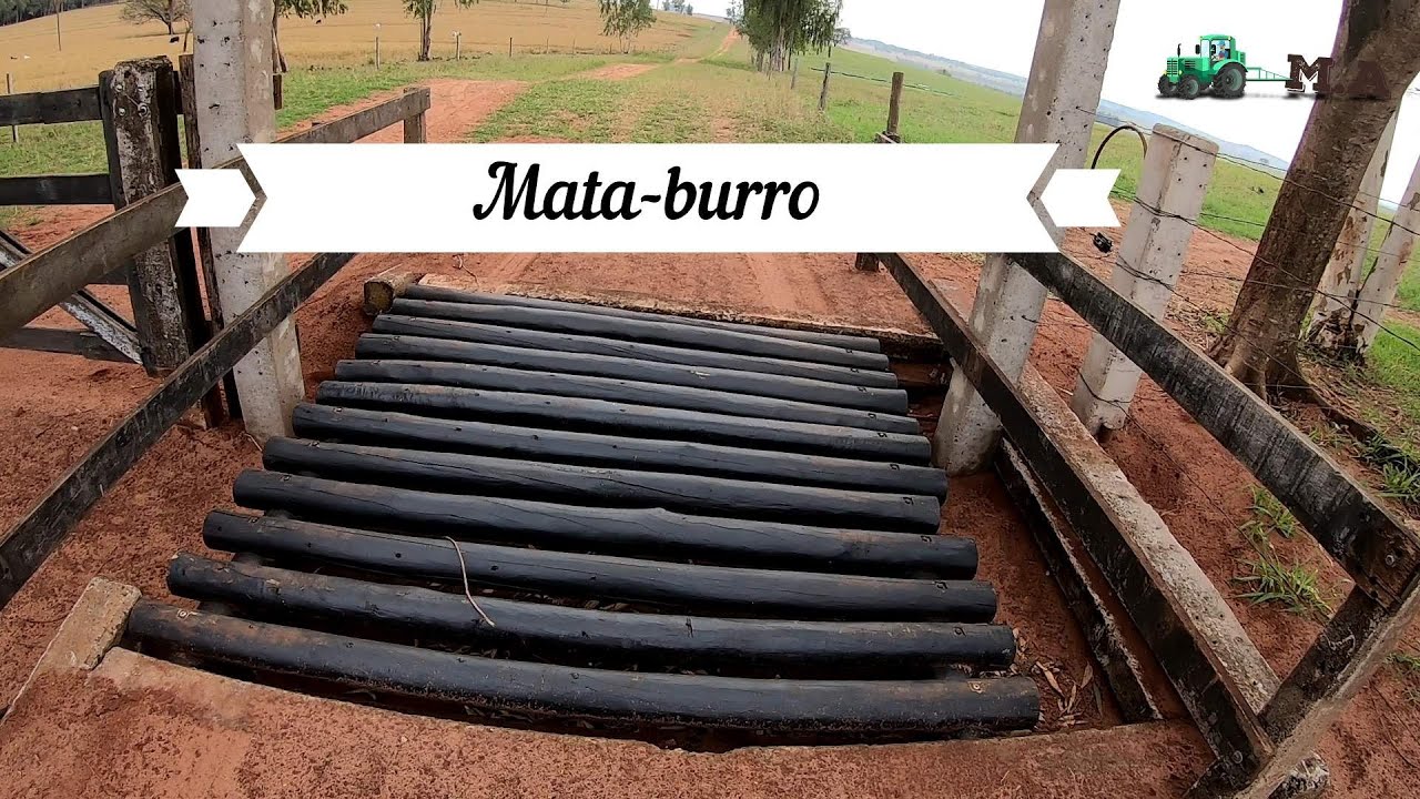 MATA-BURRO
