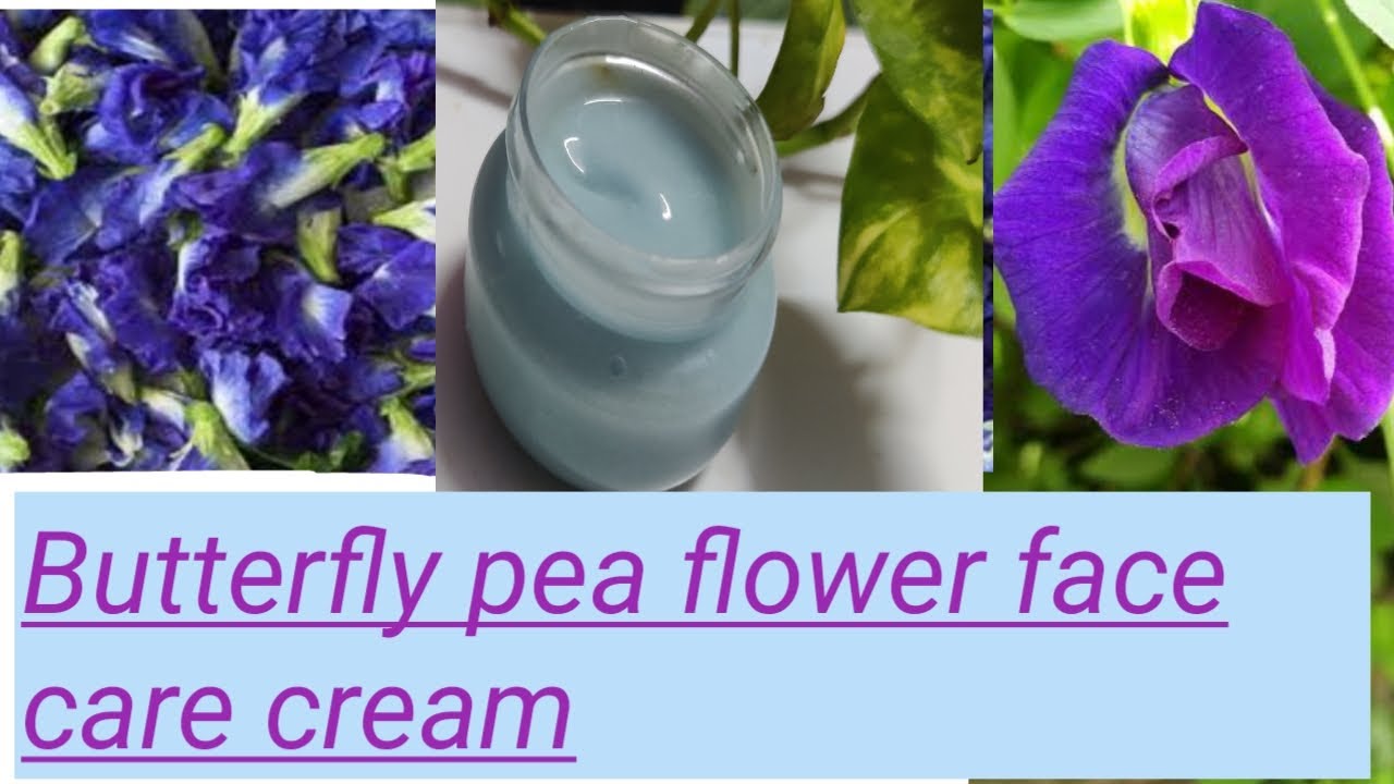 Butterfly pea flower face care cream #brightening #antioxidant #carecream