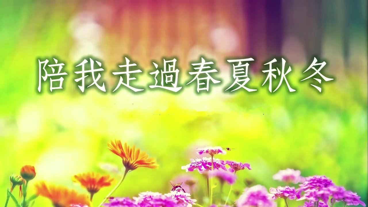 陪我走過春夏秋冬