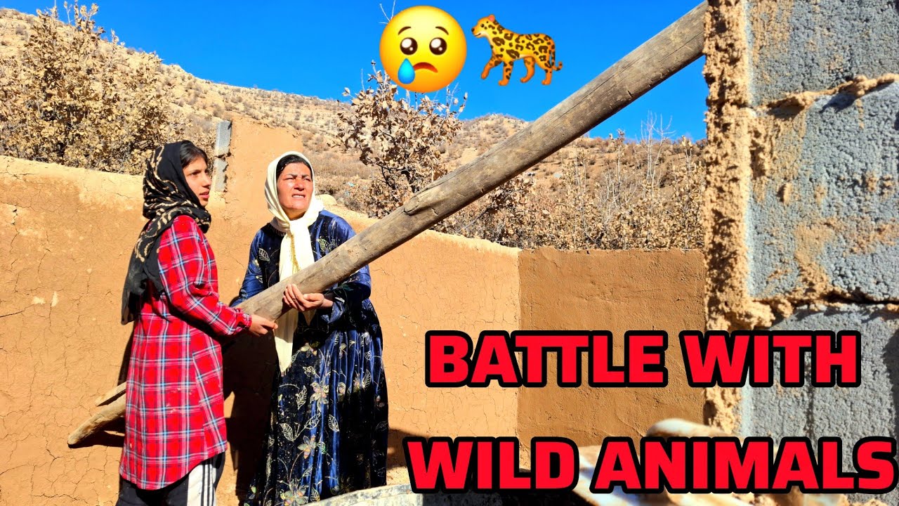 Building a Hut Roof Against Wild Animals for a Homeless Mother