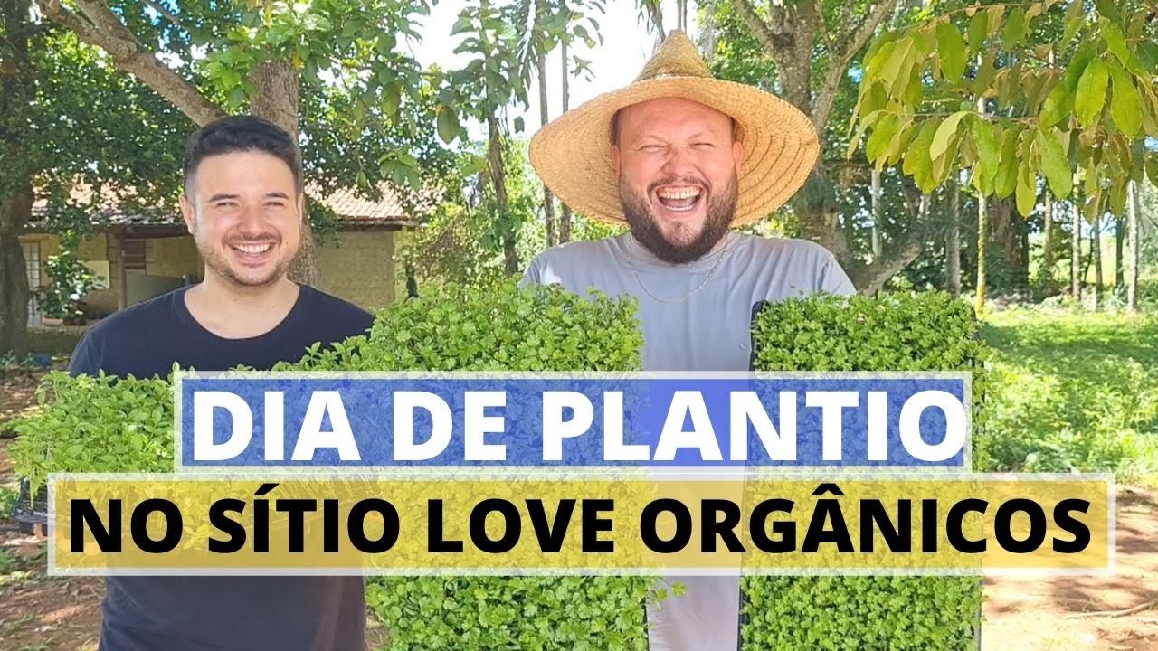 O que devo fazer antes de plantar uma horta? Cuidados que você precisa ter no plantio da sua horta!
