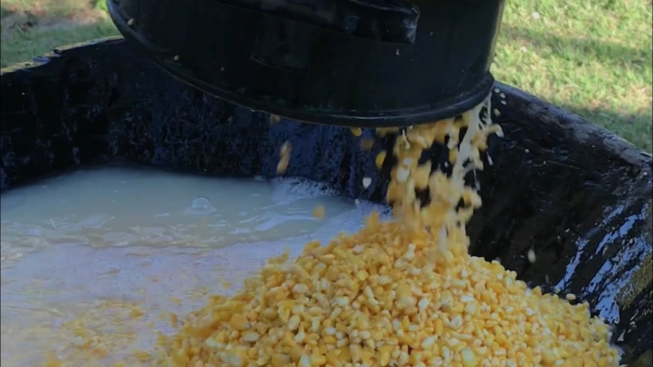 FARINHA DE MILHO ARTESANAL - 3° Episódio.