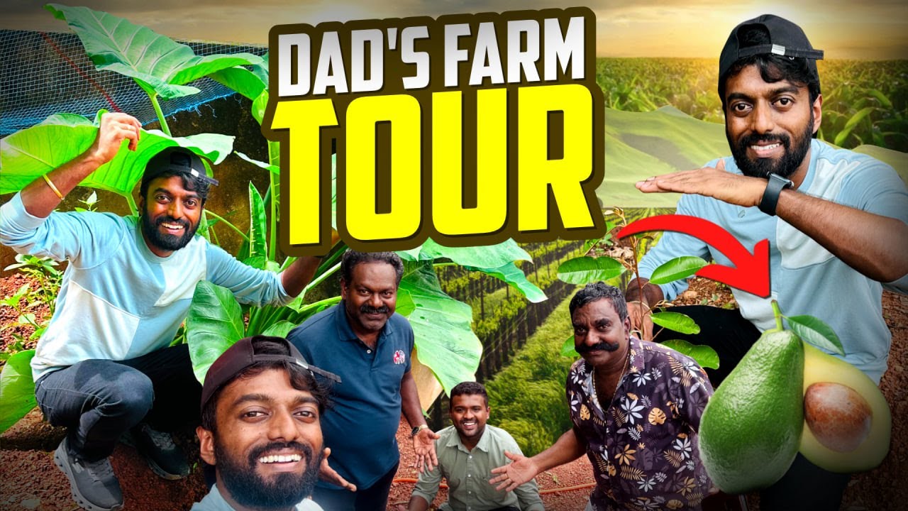 Daddy's Farm Tour 🚜🎋🥑🥭🍠 | DAN JR VLOGS