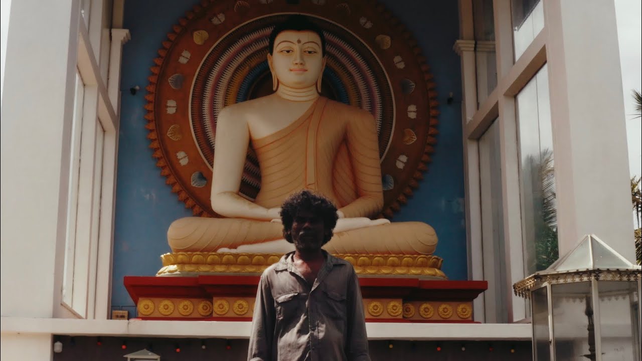 Цейлон. Синематик 