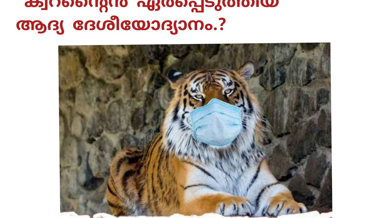 #psctalks 👌#currenaffairs2021 👍#subscribe #pscstudycorner #pscstudy 👌#shakku kunjumol