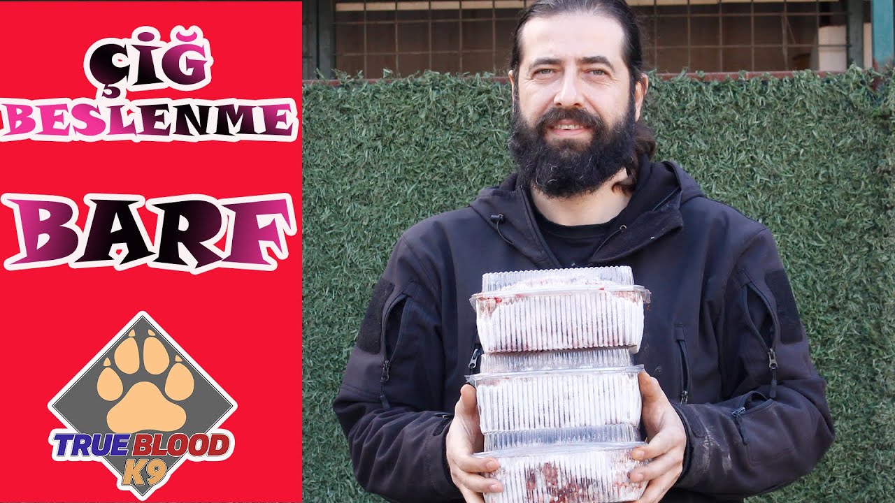 BARF TARZI BESLENME - BARF ZARARLI MI - KÖPEKLERDE ÇİĞ BESLENME