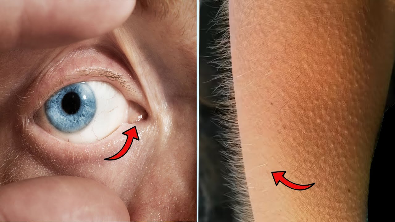 12 Fascinating Facts About The Human Body