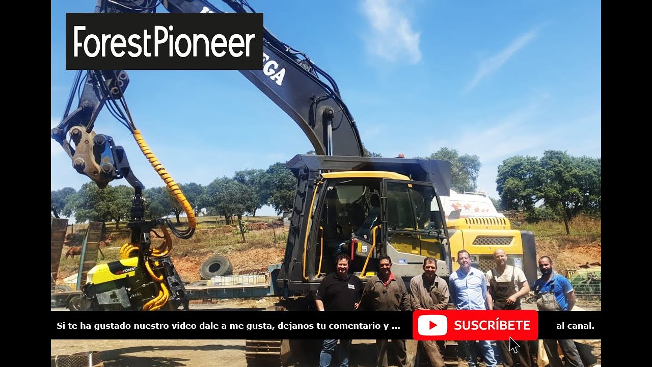 Procesadora Volvo EC220DL con cabezal AFM 60 Euca