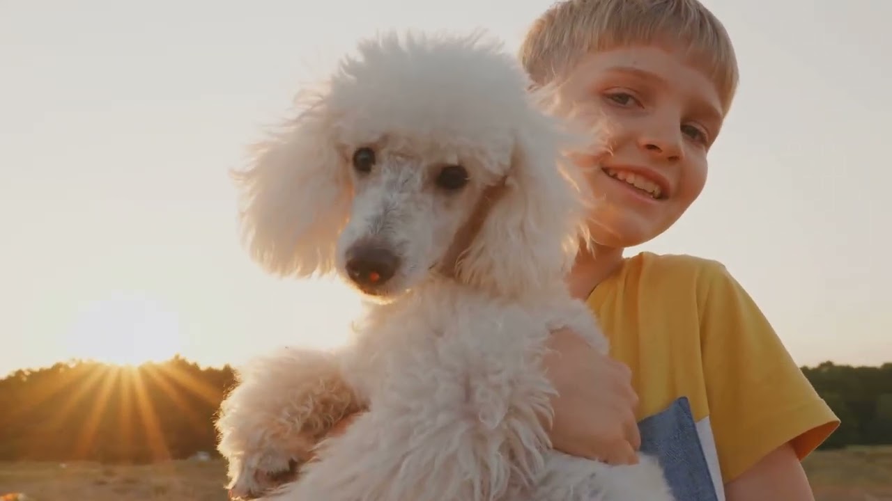 HOW A STRAY DOG CHANGED DANIEL'S LIFE FOREVER#dog #youtube #inspirationalstory 