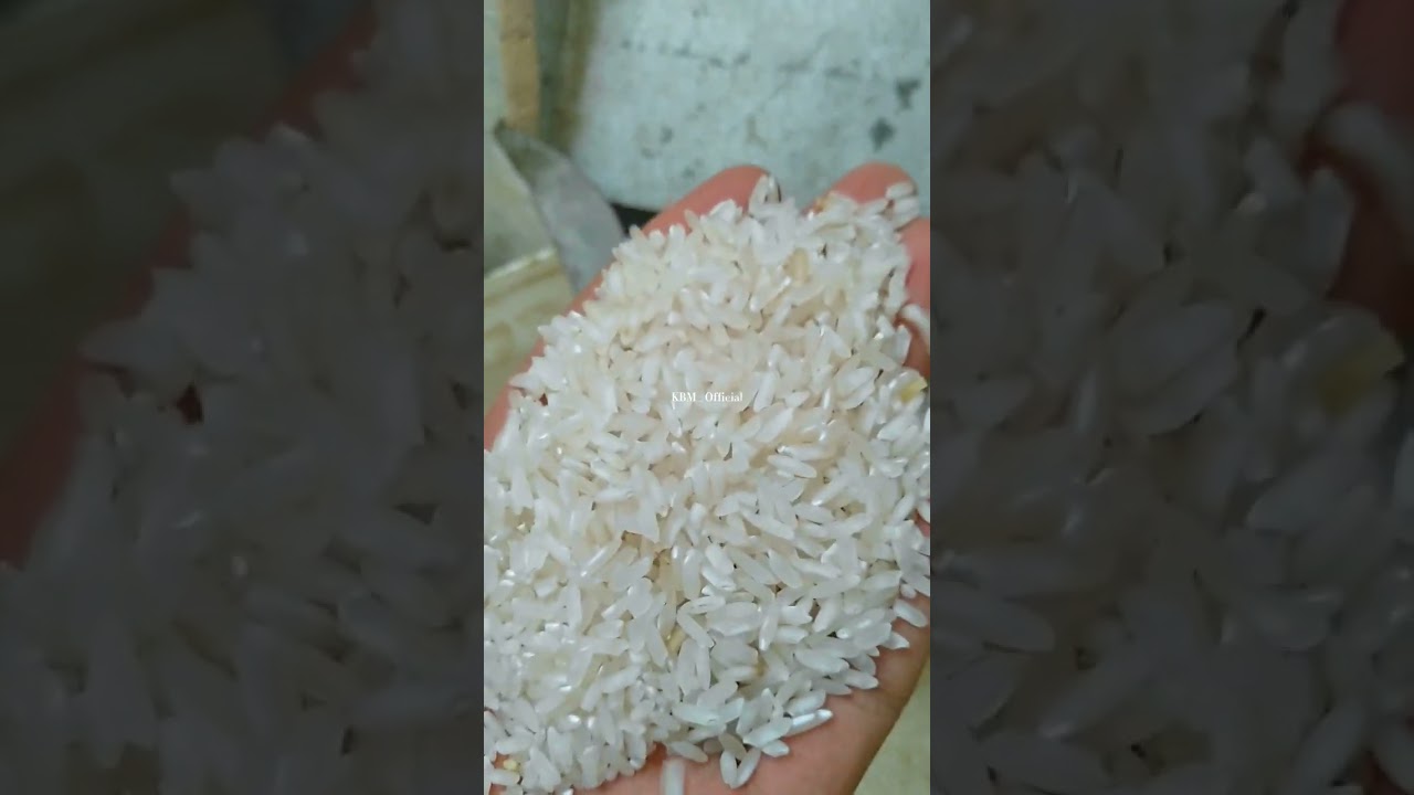 #penggilingpadi #rice #penggilinganpadi