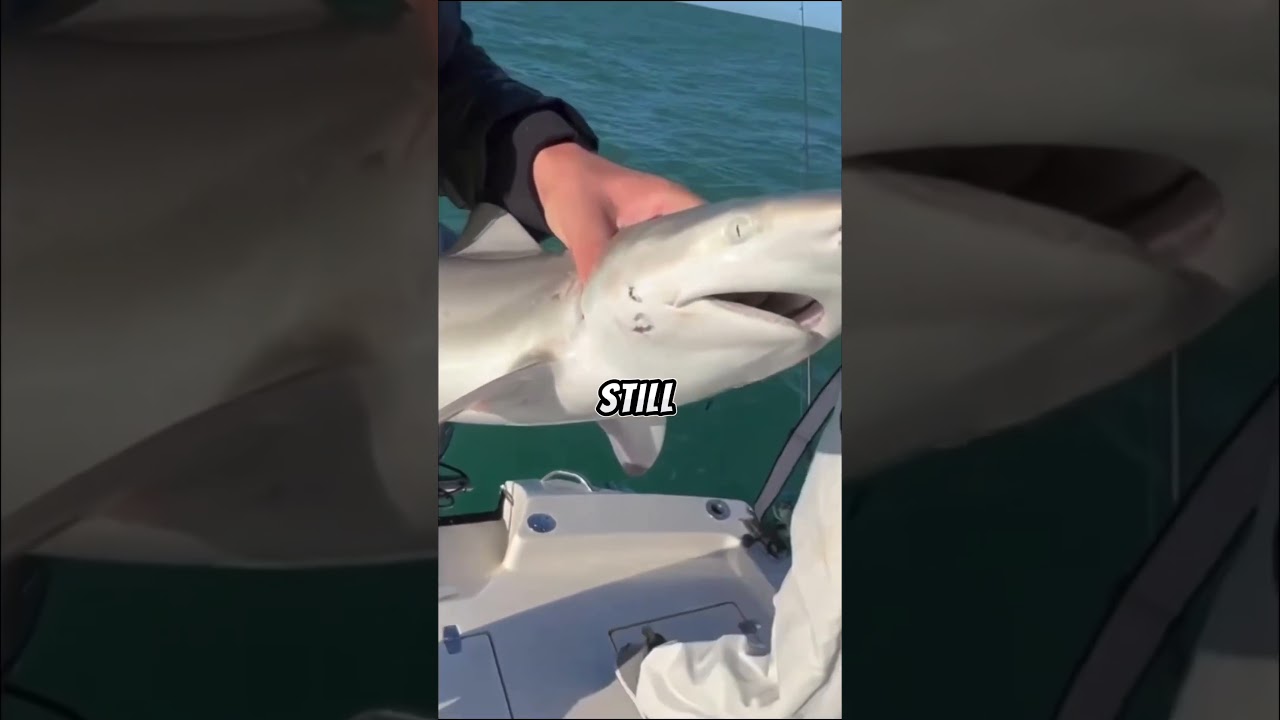 We had a crazy day of winter fishing
