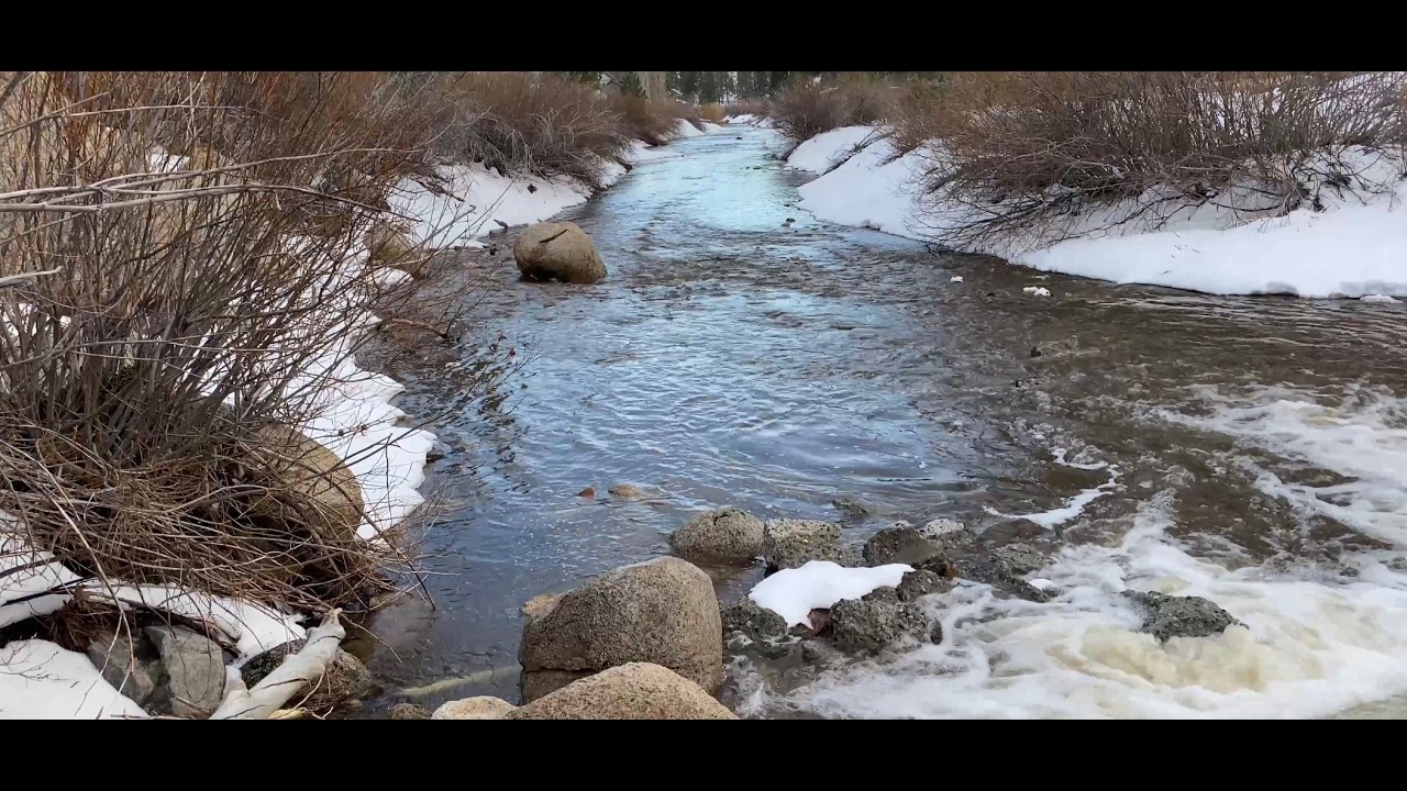 🏞️Beautiful Tributary in Big Bear, CA. Snowmelt is Flowing Into Big Bear Lake, CA 2/26/2026 ⛴️