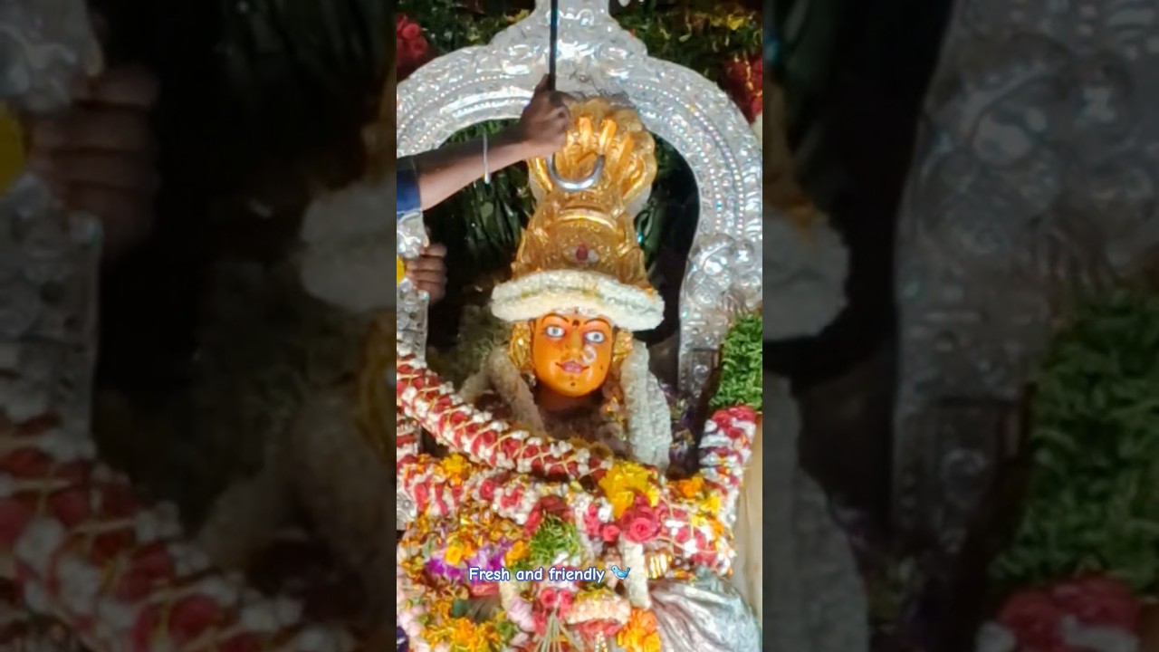 Sri Venkatagiri Poleramma  11September 2025 Jathara Ammavaru🙏#amma #god #youtube #Poleramma #Jathara